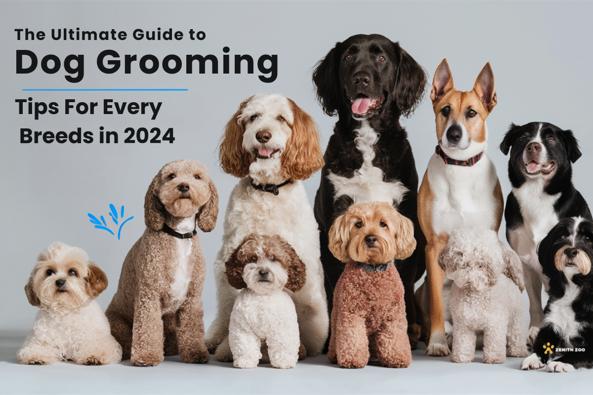 The Ultimate Guide to Dog Grooming: Tips for Every Breed in 2024