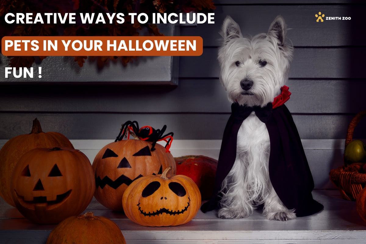 Creative Ways to Include Pets in Your Halloween Fun