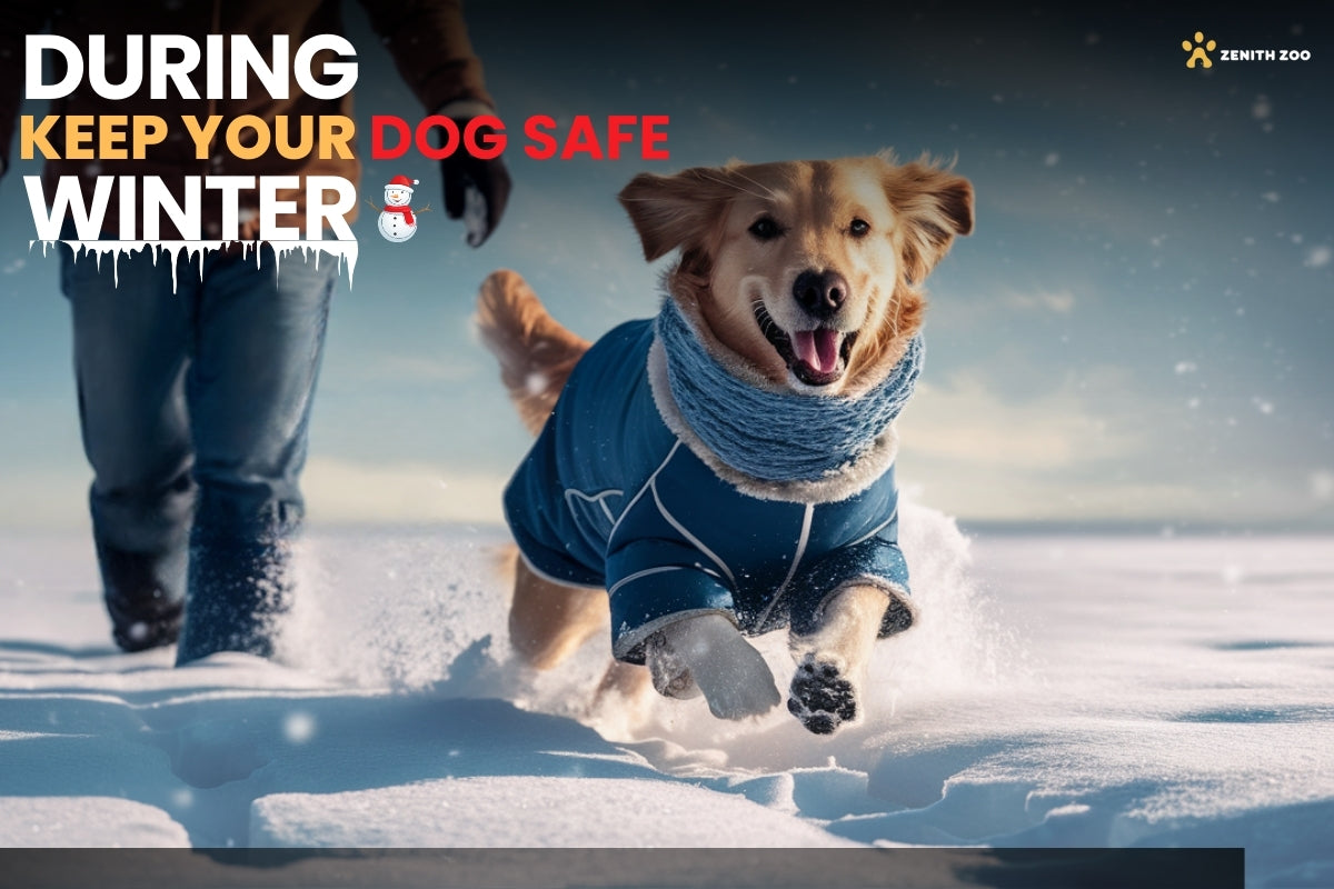 How to Keep Your Dog Safe During Winter: A Comprehensive Guide