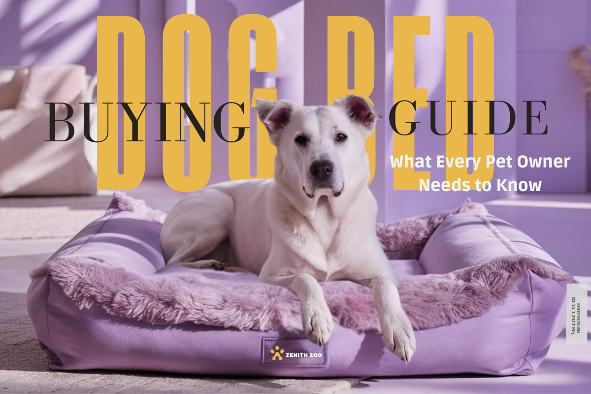 Dog Bed Buying Guide: What Every Pet Owner Needs to Know