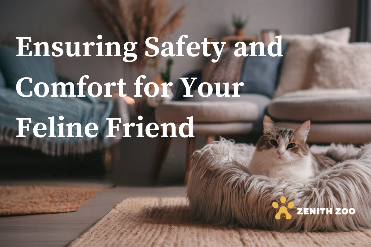 How Can You Make Sure Your Home is Safe and Cozy for Your Cat?