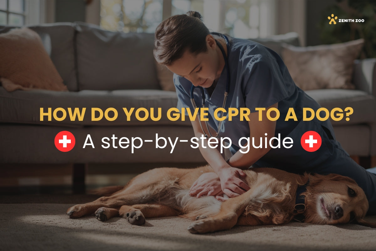 How do you give CPR to a dog ? A Step-by-Step Guide