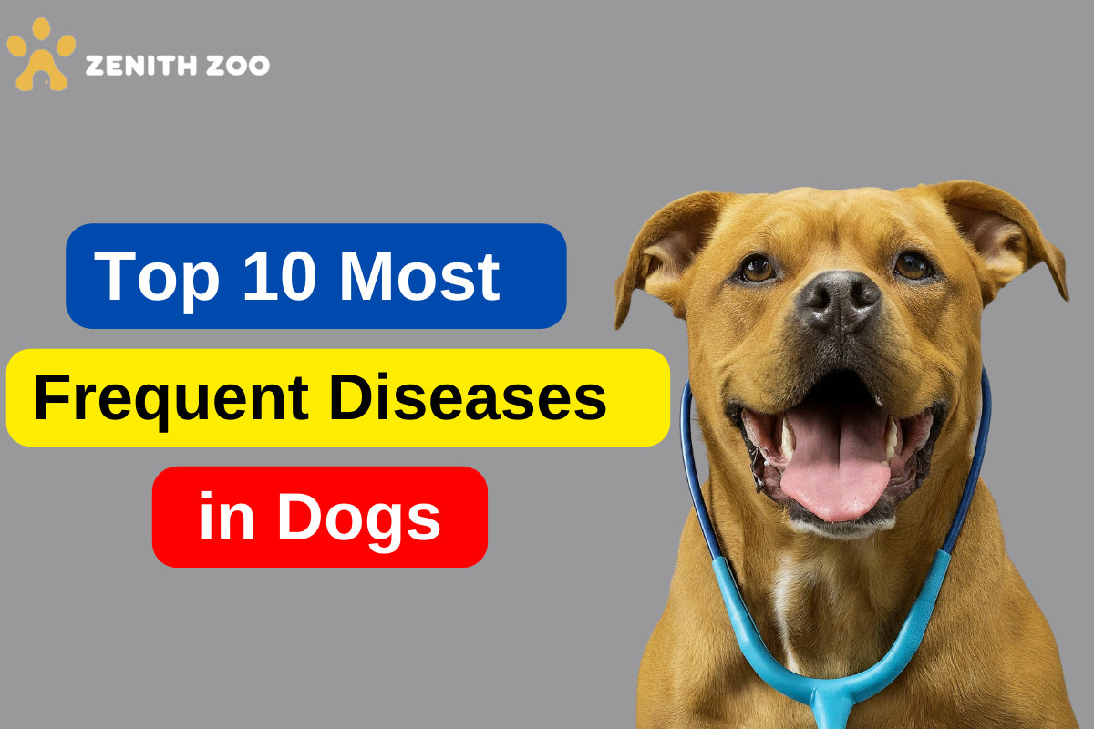 How to Recognize the Top 10 Most Frequent Diseases in Dogs