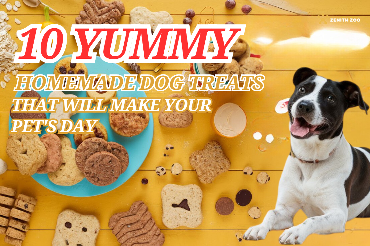 How to Make 10 Yummy Dog Treats at Home