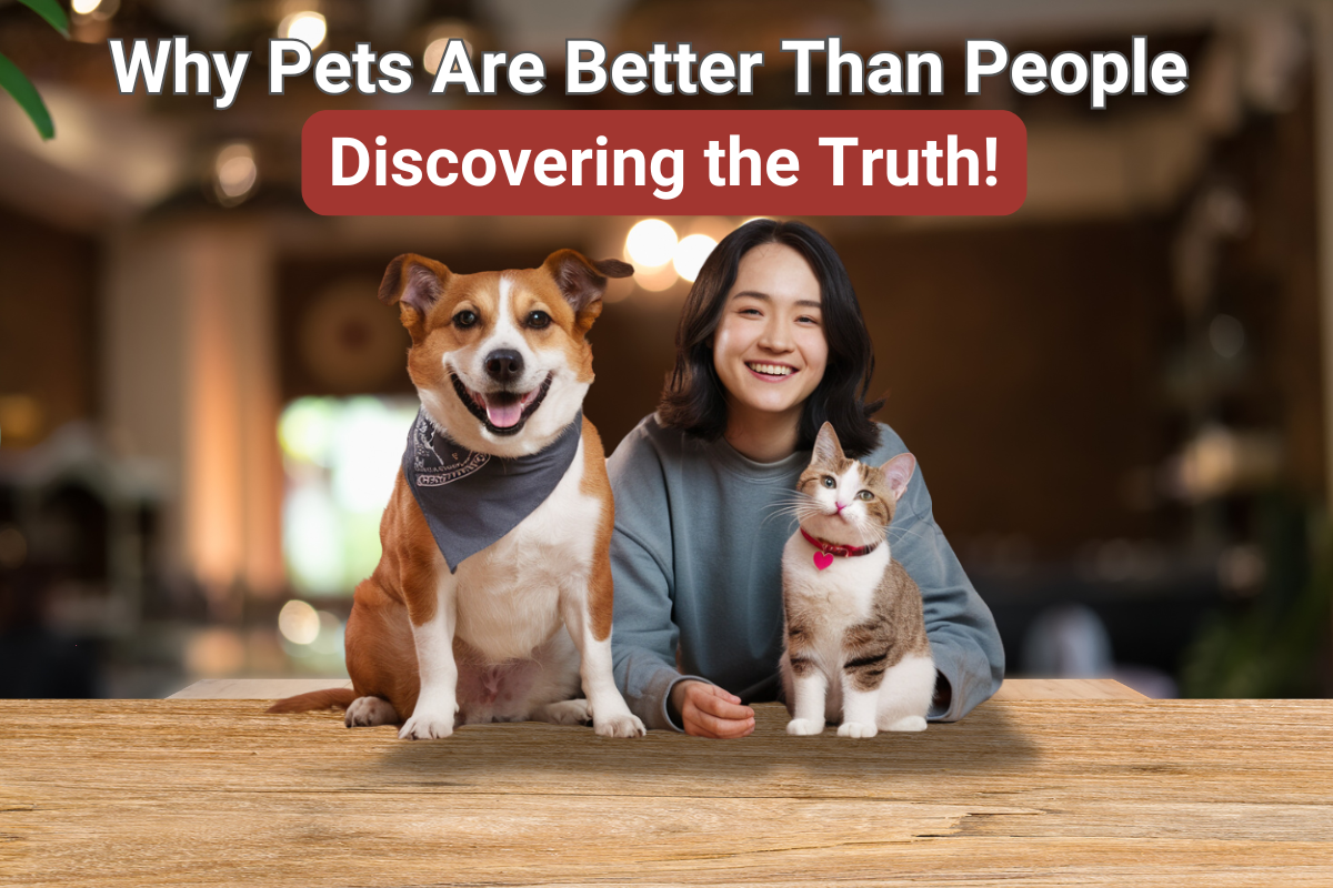 why pets are better than people - zenithzoo