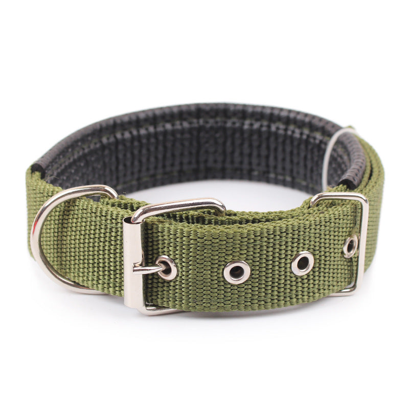 Attractive Dog Collar - Zenithzoo