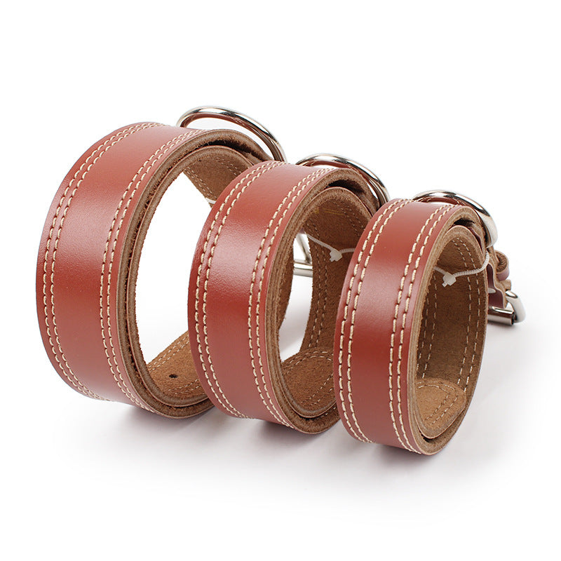 Dog leather traction collar - Zenithzoo