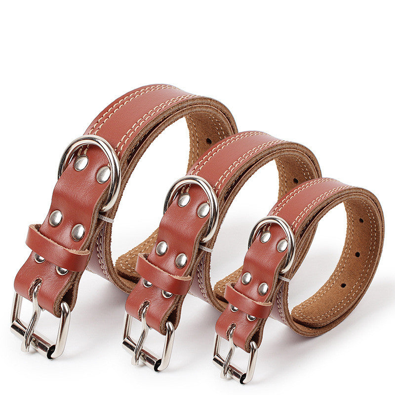 Dog leather traction collar - Zenithzoo