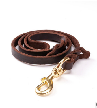 Leather Dog Leashes - Zenithzoo