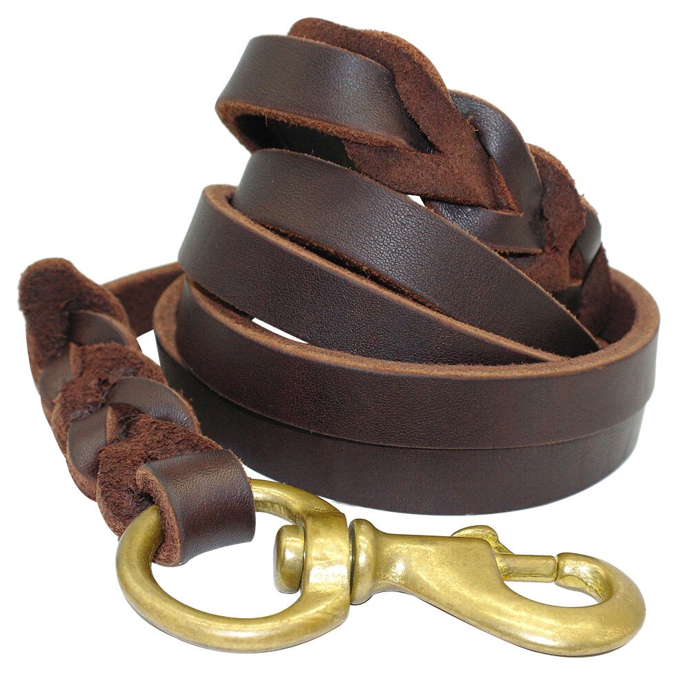 Leather Dog Leashes - Zenithzoo