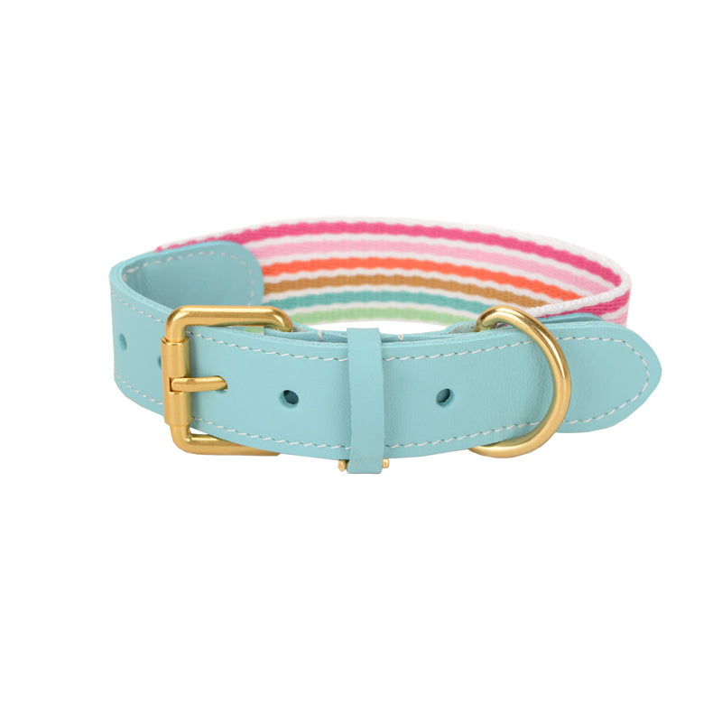 Woven Pet Collar - Zenithzoo