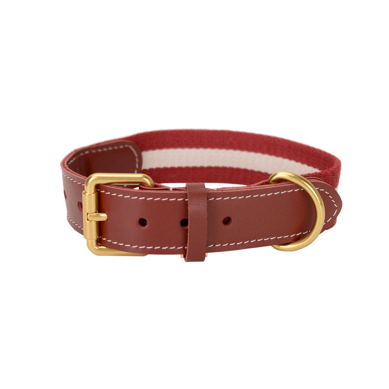 Woven Pet Collar - Zenithzoo