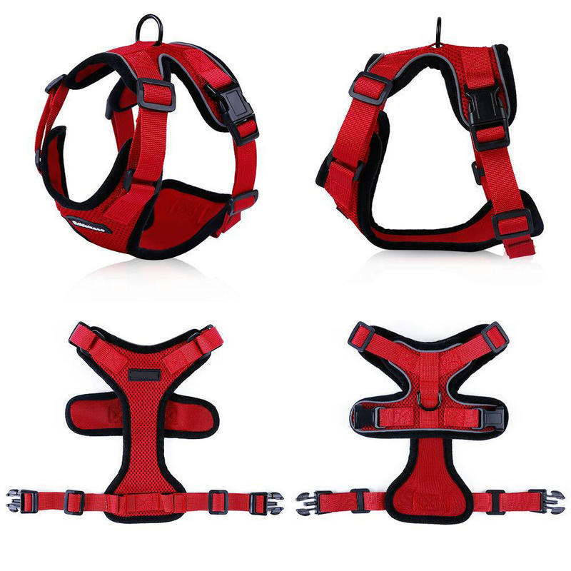 PawProwl-Walking Cat Harness - Zenithzoo