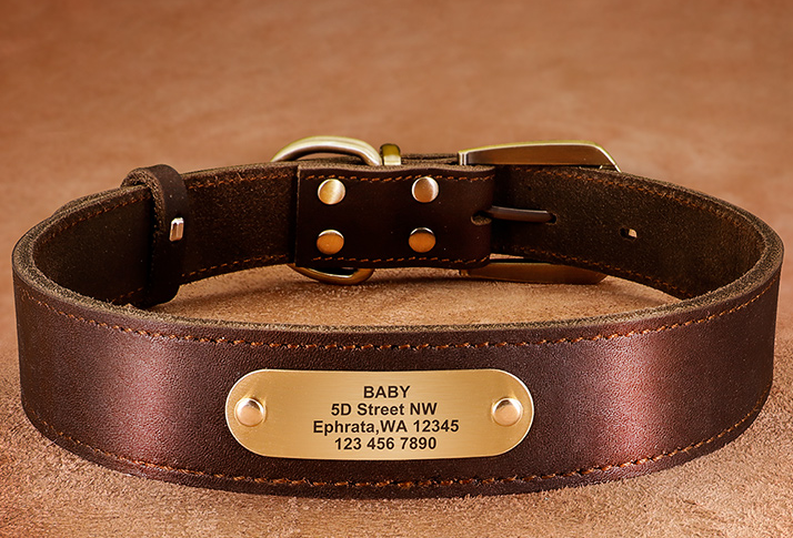 Personalized Dog Collars - Zenithzoo