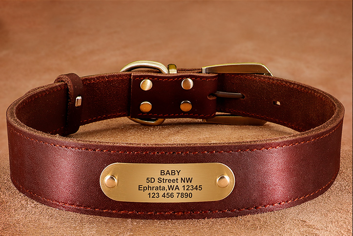 Personalized Dog Collars - Zenithzoo