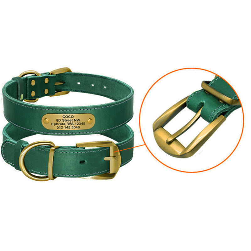 Personalized Dog Collars - Zenithzoo