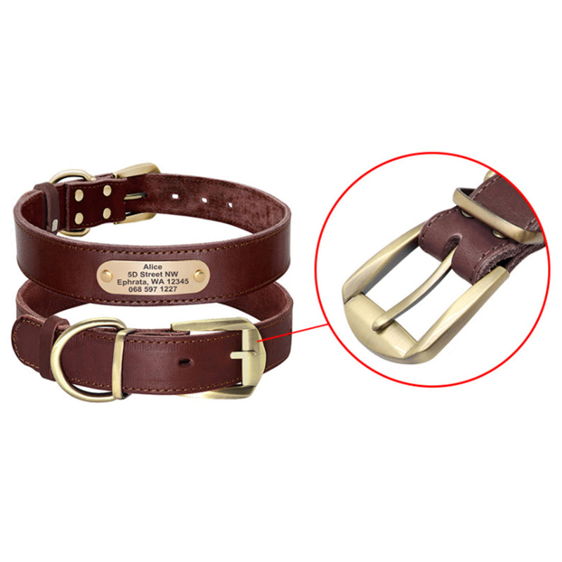 Personalized Dog Collars - Zenithzoo