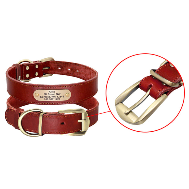 Personalized Dog Collars - Zenithzoo