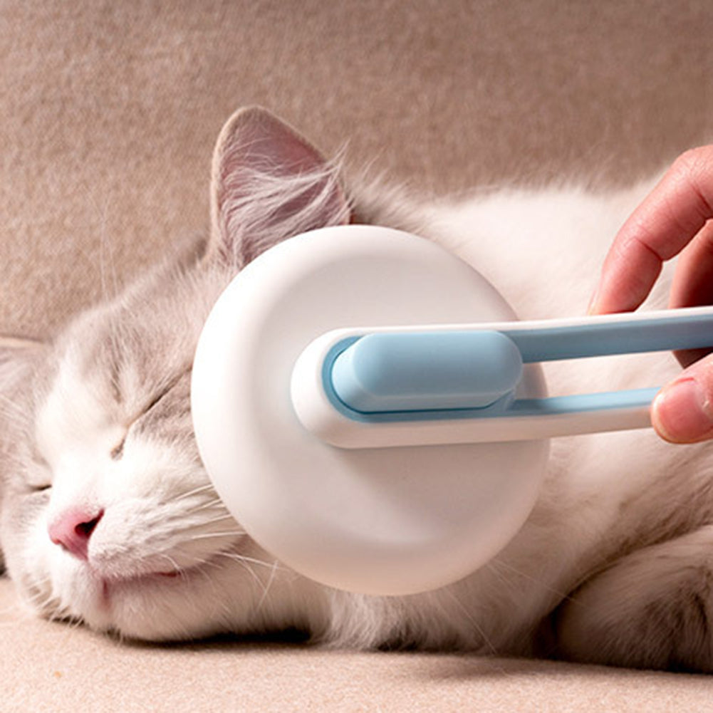 Hair Remover Cat Brush - Zenithzoo