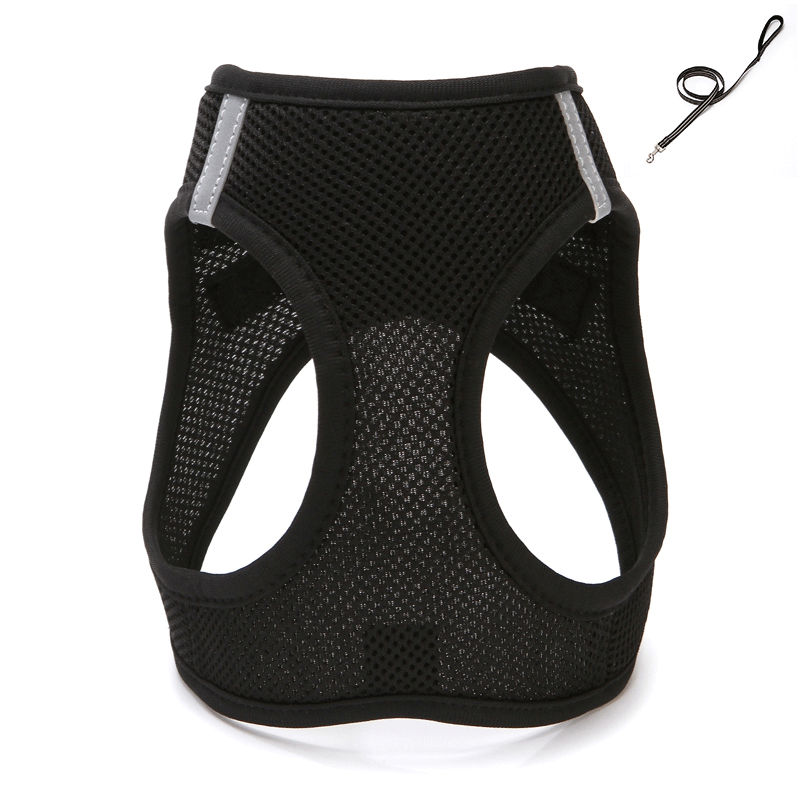 Cat Outing Chest Strap - Zenithzoo