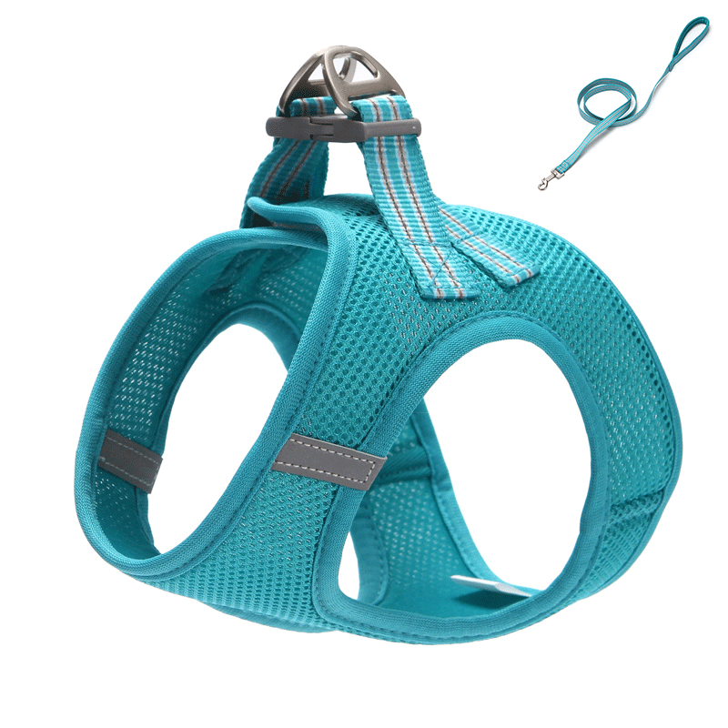 Cat Outing Chest Strap - Zenithzoo