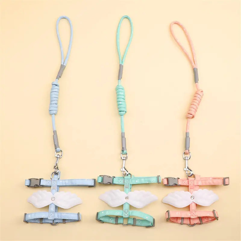 Winged Cat Harness & Leash Set - Zenithzoo