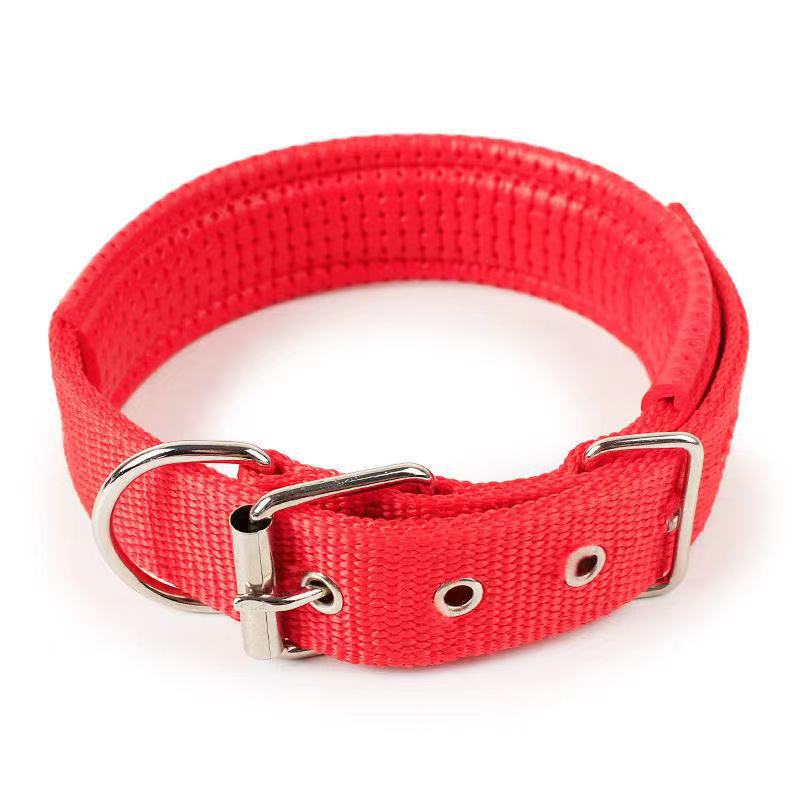 Attractive Dog Collar - Zenithzoo