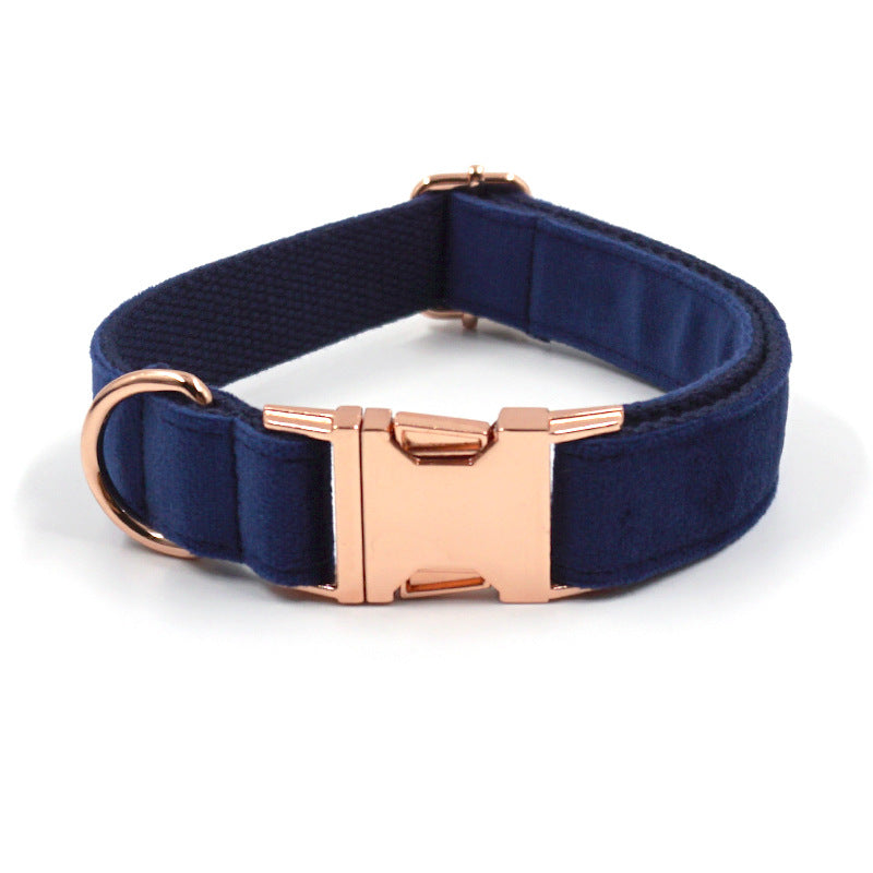 Buckle Pet Collar - Zenithzoo