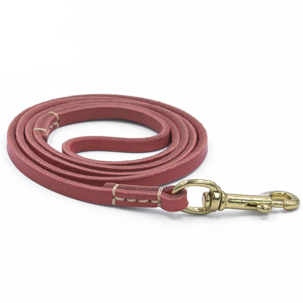 Handmade Durable Soft Pet Walking Leads - Zenithzoo