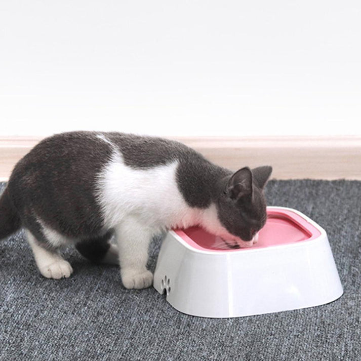 Not Wetting Pet Feeding Bowls - Zenithzoo