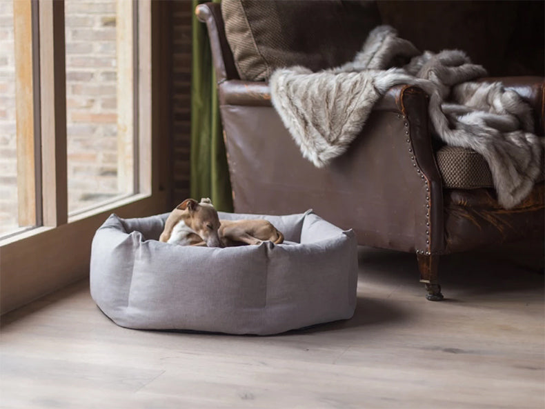 Dog Bed - Zenithzoo