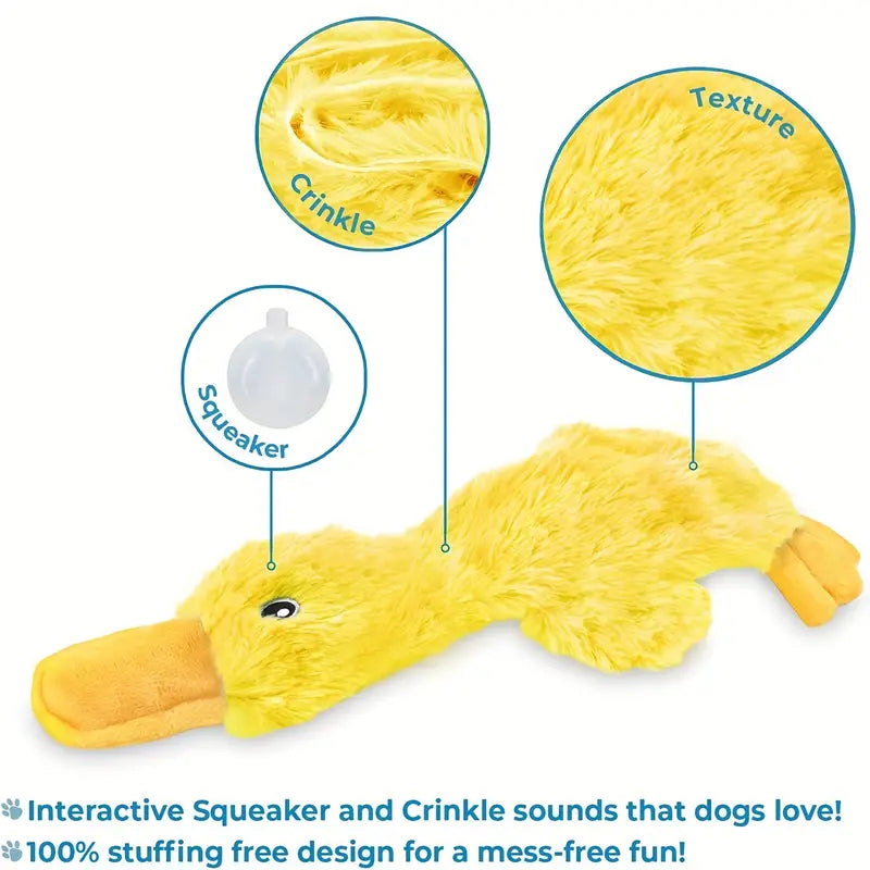 Crinkle Dog Toy - Zenithzoo