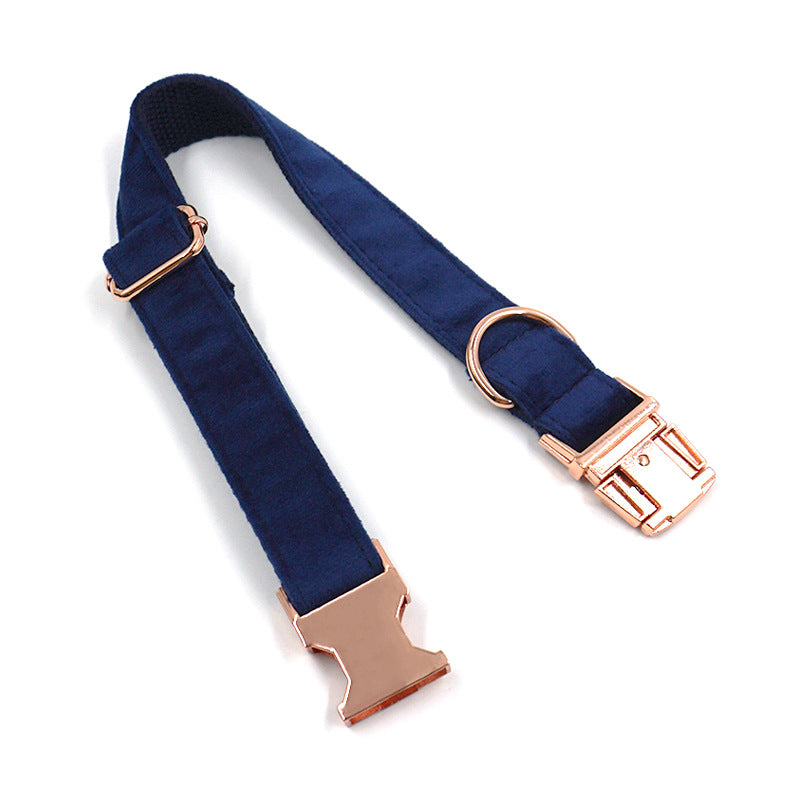 Buckle Pet Collar - Zenithzoo