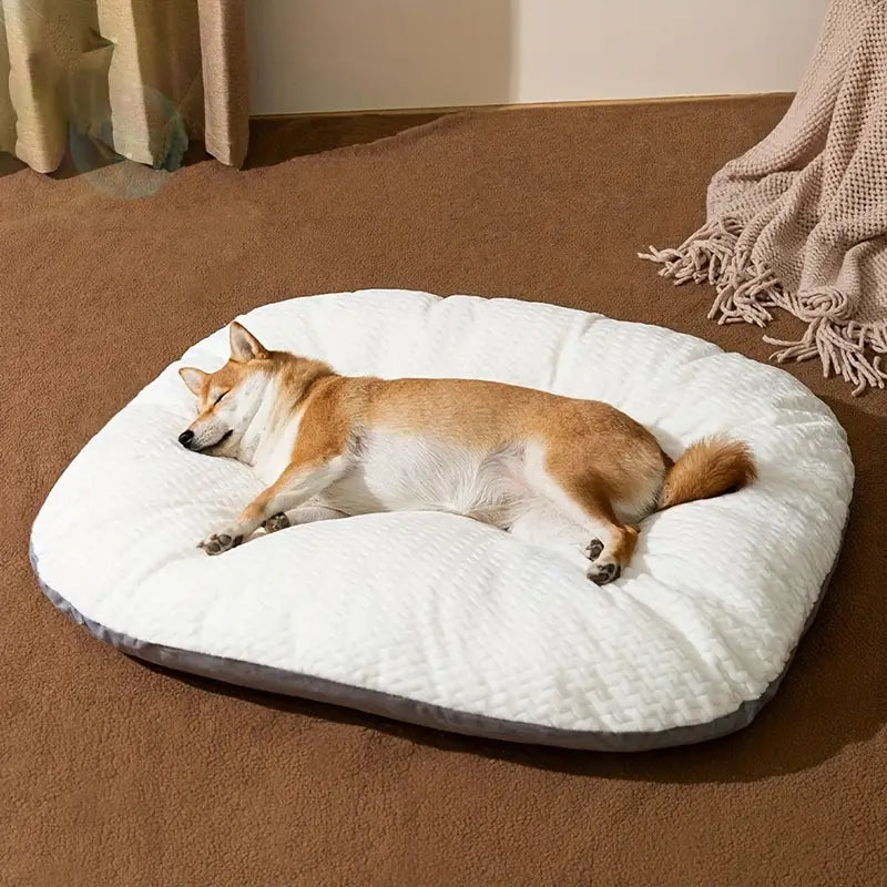 Durable Oval Dog Bed - Zenithzoo