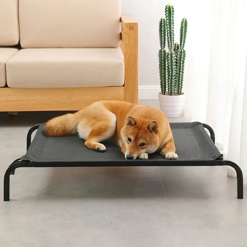 Dog Elevated Bed - Zenithzoo