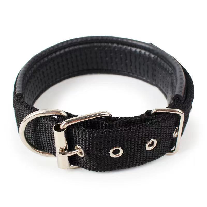 Attractive Dog Collar - Zenithzoo