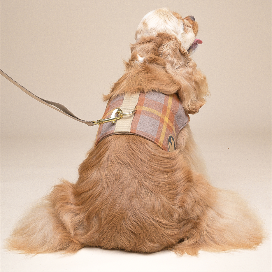 Attractive Dog Harness - Zenithzoo