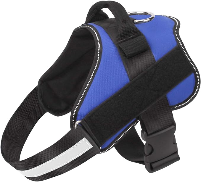 Personalized Dog Harness - Zenithzoo