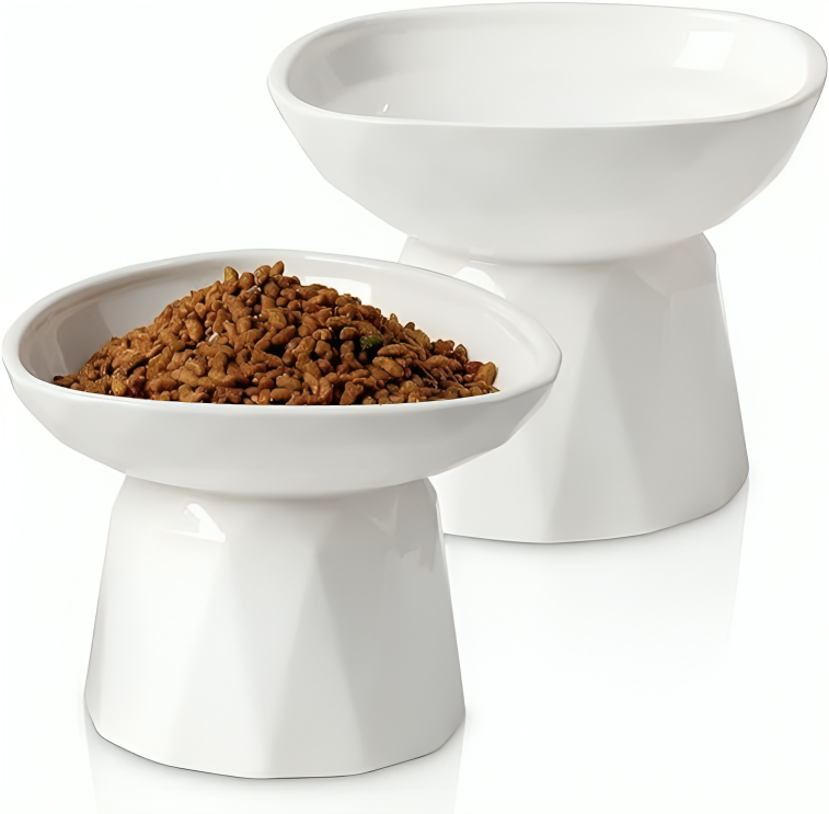 Protects Spine Cat Bowl - Zenithzoo