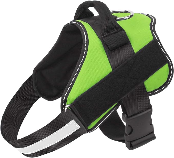 Personalized Dog Harness - Zenithzoo