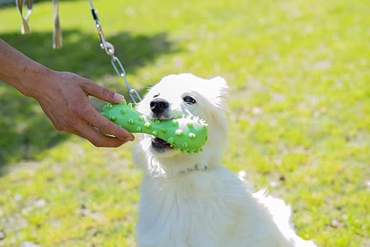 Vocal Dog Toothbrush Toy - Zenithzoo