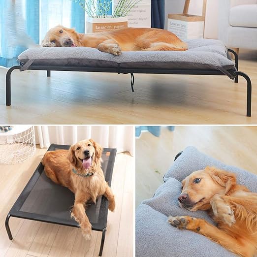 Cooling Dog Bed - Zenithzoo