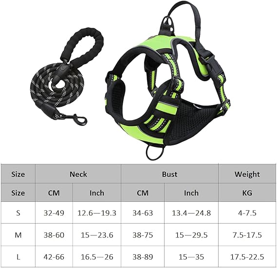 Comfort Harness & Safety Leash - Zenithzoo