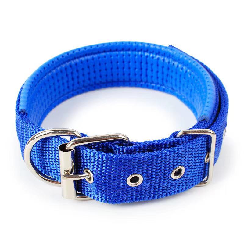 Attractive Dog Collar - Zenithzoo