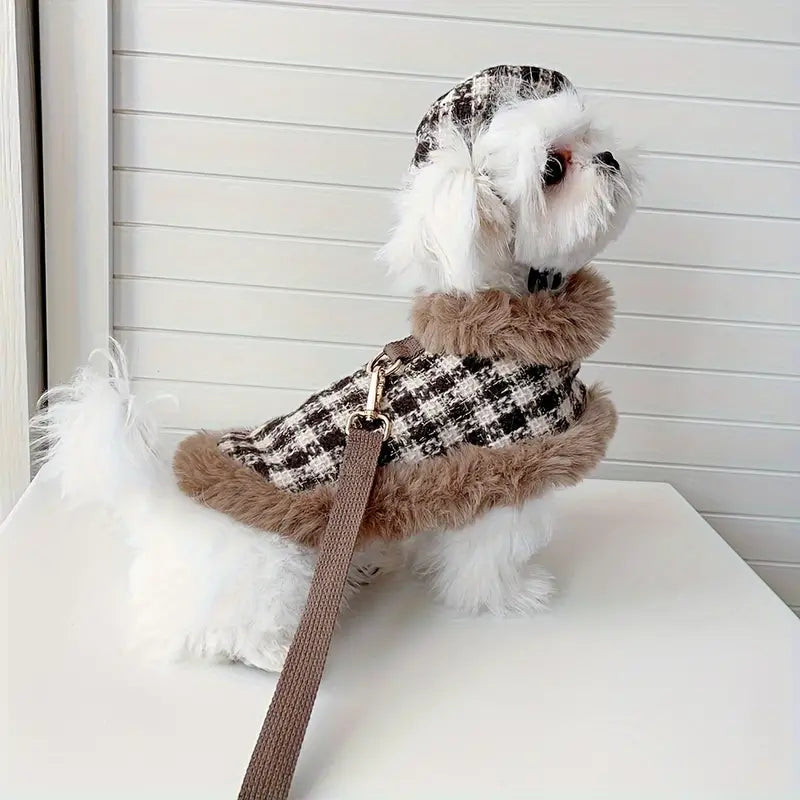 Luxury Dog Clothes - Zenithzoo