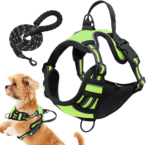 Comfort Harness & Safety Leash - Zenithzoo