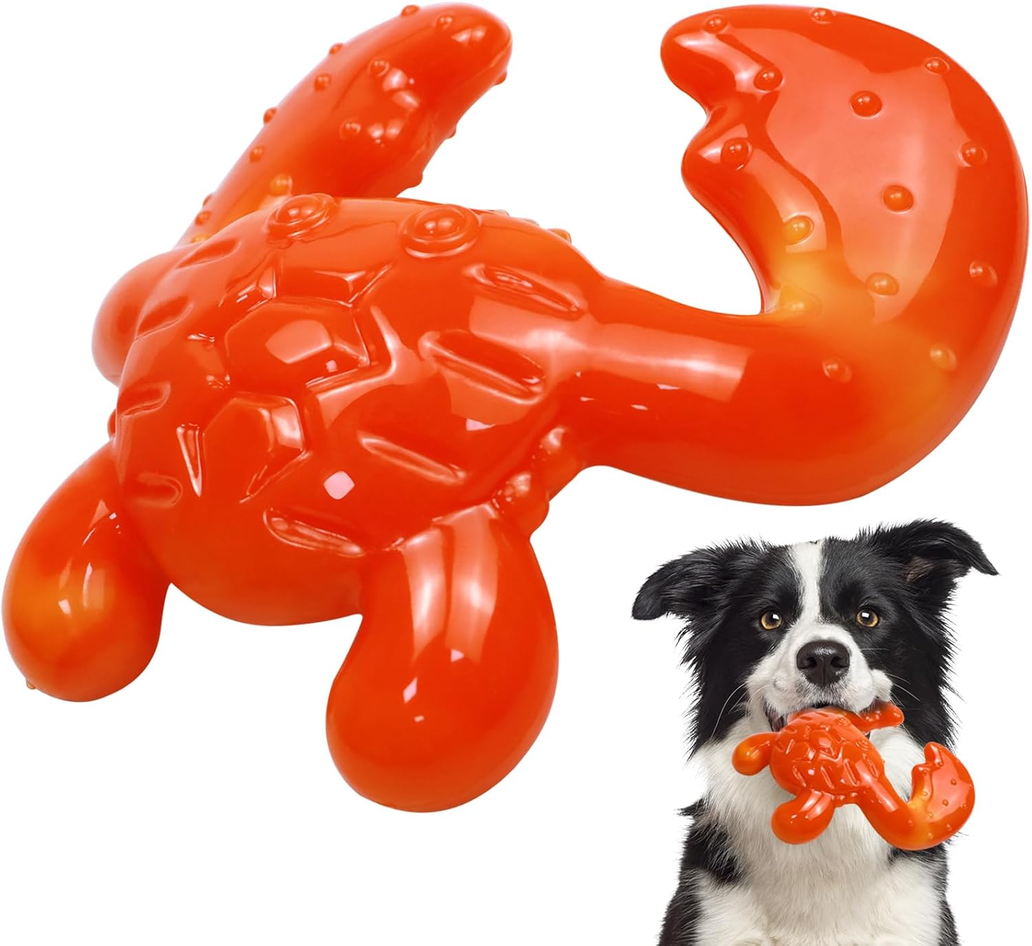 Dog Toys for Aggressive Chewers - Tough Dog Chew Toys for Medium/Large Breed, Super Durable Dog Toys for Teething, Nylon Bones Toy to Keep Them Busy, Interactive Dog Toys for Boredom - Zenithzoo