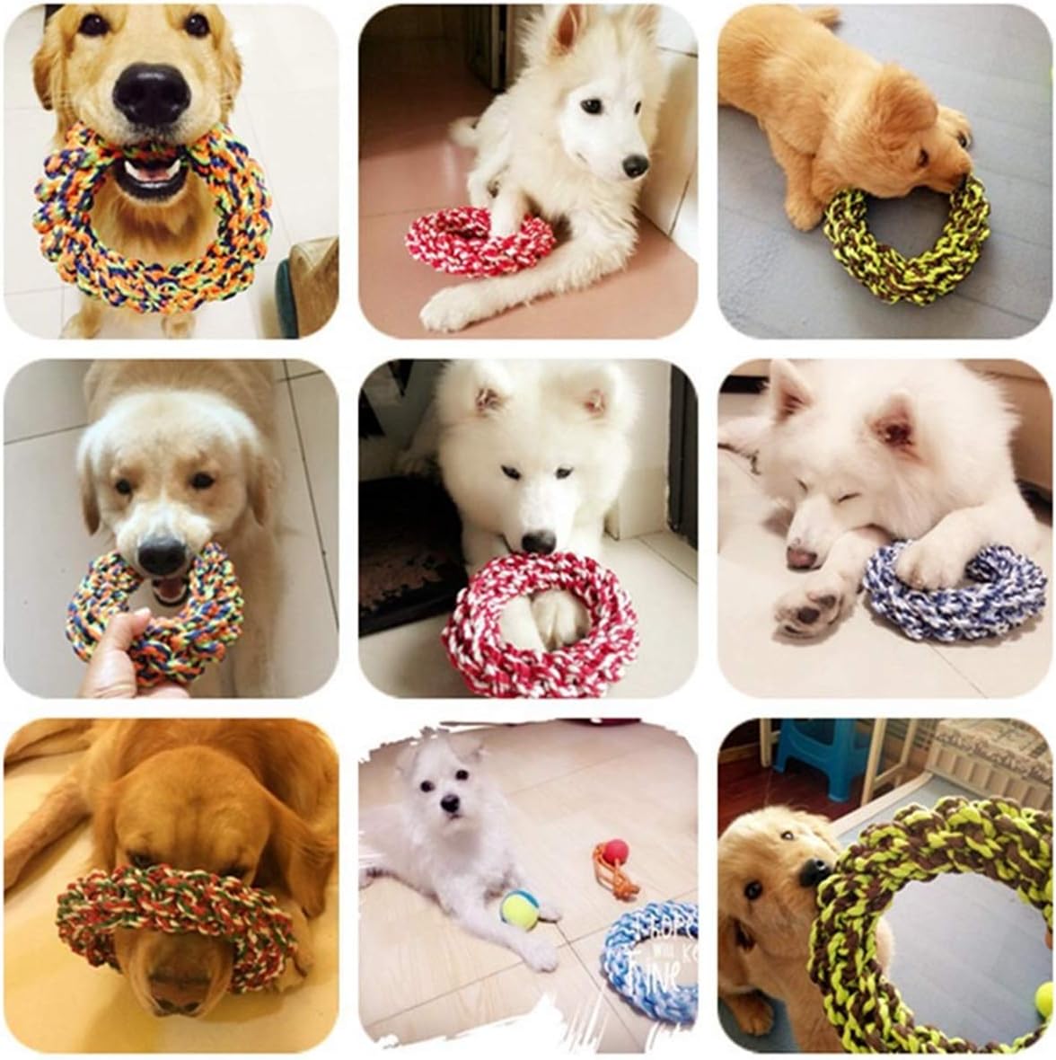 Cotton Rope Knot Dog Toy - Zenithzoo