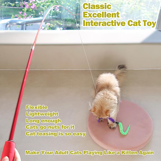 Interactive Cat Toys - Retractable Wand Toy and Feather Toys Refills for Indoor Cats to Chase and Exercise - Zenithzoo