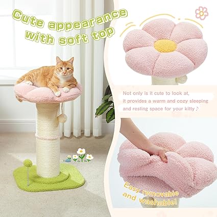 Cat Scratcher - Zenithzoo